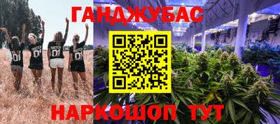 хмурый Аргун
